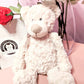 White Wine, Luxury Teddy and Gourmet Chocolate Truffle Selection